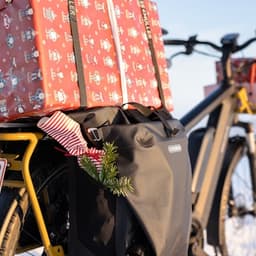 Cargo e-bikes