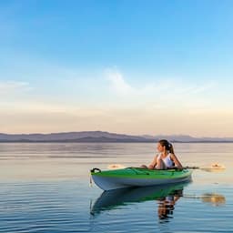 Kayaks